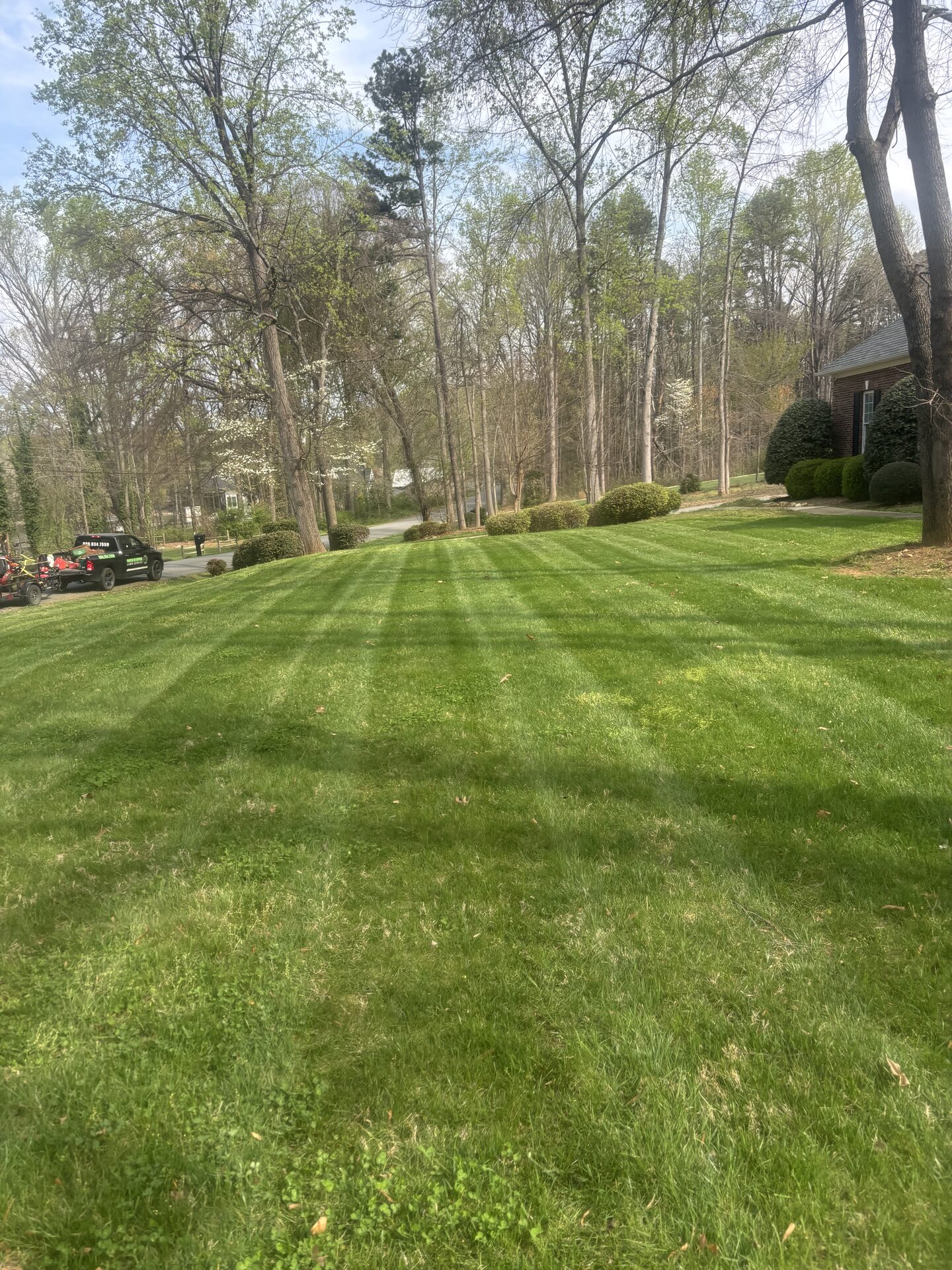 Lawn Mowing